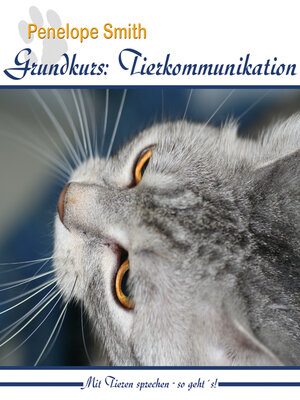 cover image of Grundkurs